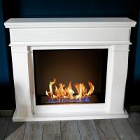 Биокамин ZeFire Chester