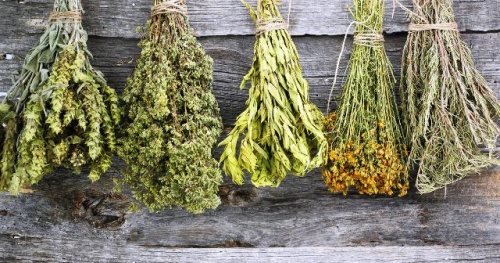 Веник травяной в ассортименте