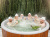 Купель POLARSPA ELITE 220